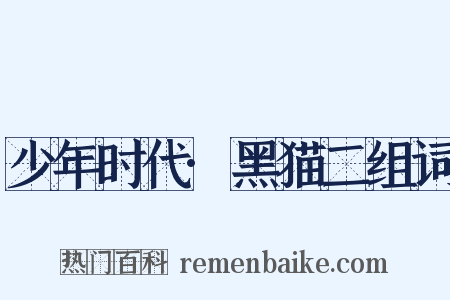 少年时代·黑猫二组词是什么意思的图片